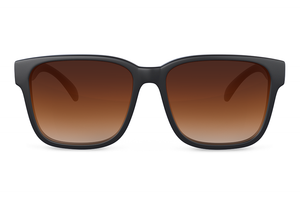 APOLLO SUNGLASSES: Replacement Lenses