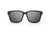 APOLLO SUNGLASSES: Billboard Silver