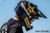 MXG-250 Motosport Goggle: Billboard Icon Black