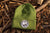 ICON BEANIE: OD Green