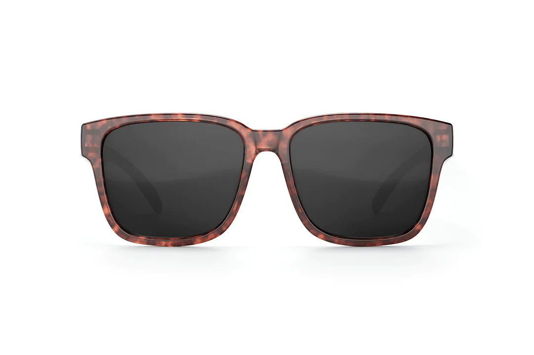 APOLLO SUNGLASSES: Tortoise x Black