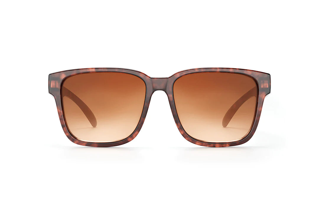 APOLLO-SONNENBRILLE: Tortoise x Brown Lurk 