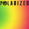 POLARIZED Spectrum