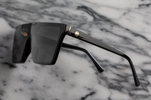 CLARITY SUNGLASSES: Black Frame x Black